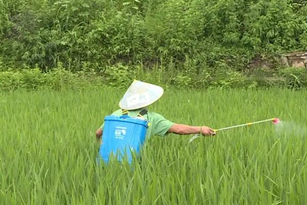 噻虫嗪怎么使用，根据防治对象决定喷施浓度