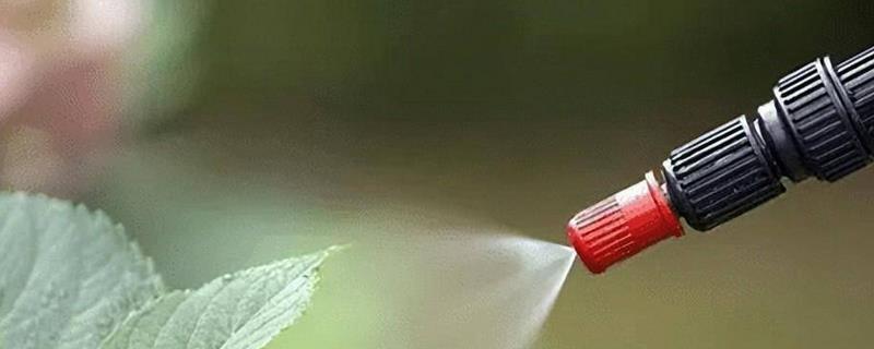 噻虫嗪怎么使用，根据防治对象决定喷施浓度