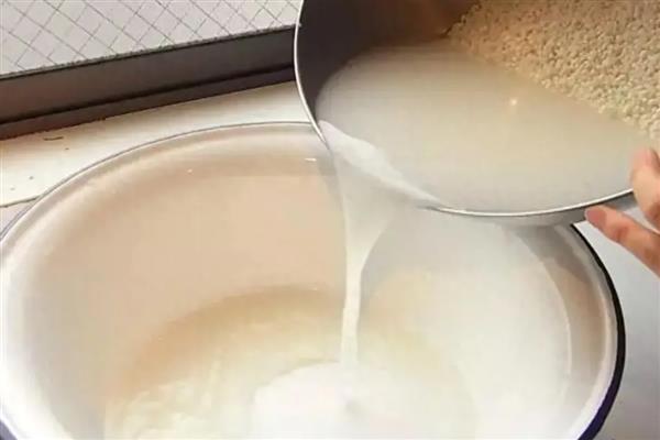 浇花用什么水，养鱼水、淘米水、剩茶水等水质都很合适