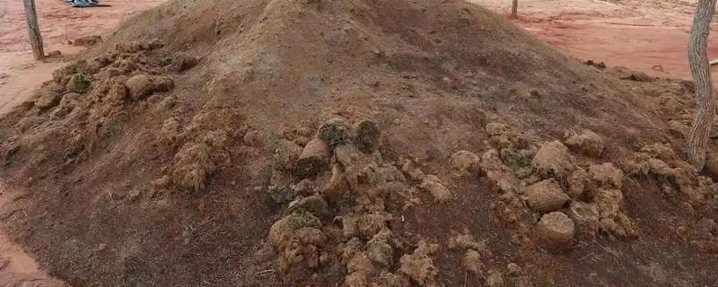 用牛粪发酵当作煤和沼气的替代品有什么好处，可节省电费、作为燃料使用能减少大气污染