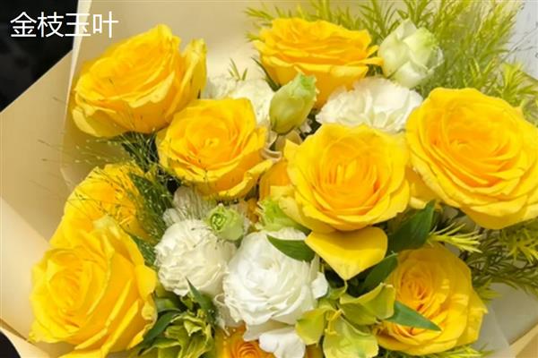 黄玫瑰送给妈妈的含义，代表美丽漂亮、永远开心