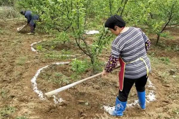微生物肥料和化肥之间的关系，是一种互补、相辅相成的关系