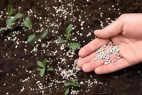 微生物肥料和化肥之间的关系，是一种互补、相辅相成的关系