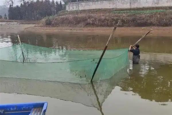 大头鱼怎么养殖，让池水保持一定的肥沃度