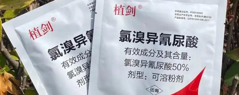 氯溴异氰尿酸如何使用，浸种浓度为500毫克/千克