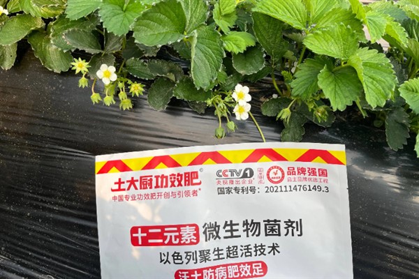 微生物菌剂有什么作用，能起到提高产量、改善品质等效果