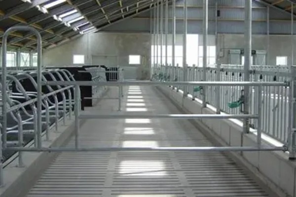 牛槽和栏杆用哪种材料，前者选择混合水泥和空心砖、后者选择镀锌管