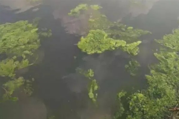 哪种水域适合路亚钓，路亚钓对水域基本不作要求
