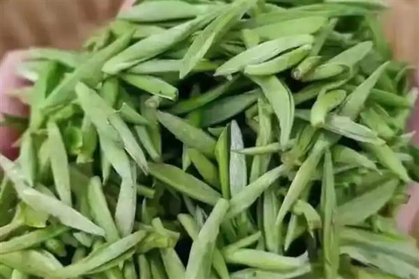 湖北宜都市的特产，优良的宜都蜜柑多次获得金奖