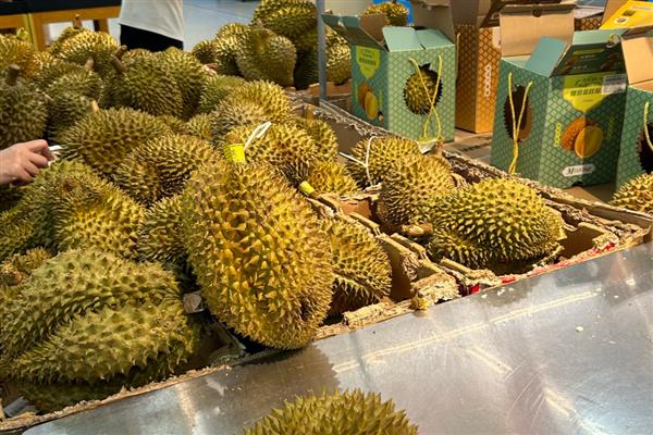 哪些水果会长刺，常见榴莲、刺梨、刺角瓜等品种