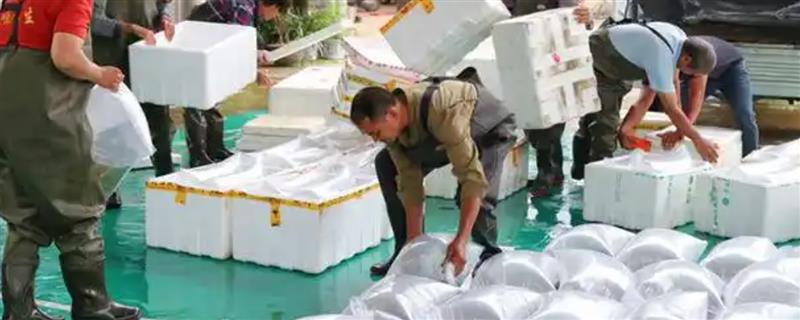 水产品有哪些运输方法，不同水产品的运输方法不同