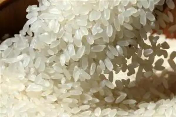 明水大米的品质，颗粒饱满、色泽和口感较好