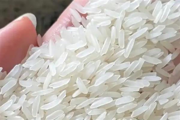 明水大米的品质，颗粒饱满、色泽和口感较好
