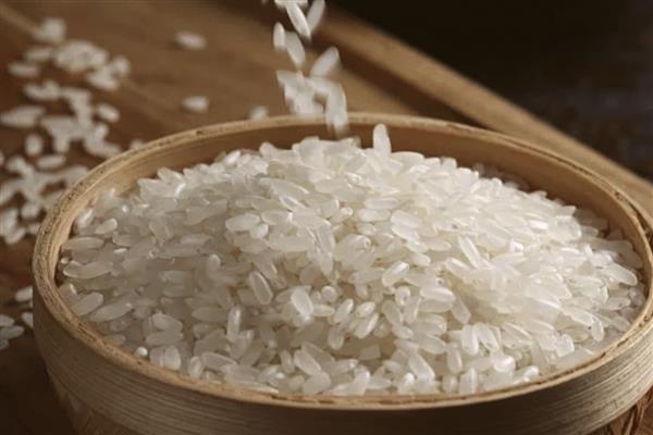 明水大米的品质，颗粒饱满、色泽和口感较好