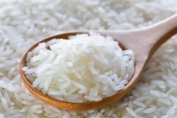明水大米的品质，颗粒饱满、色泽和口感较好