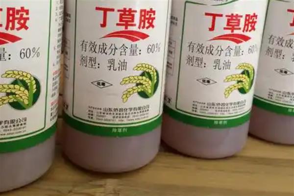 旱稻可以用什么除草剂，丁草胺、二甲戊灵、仲丁灵等药物都是适宜选择