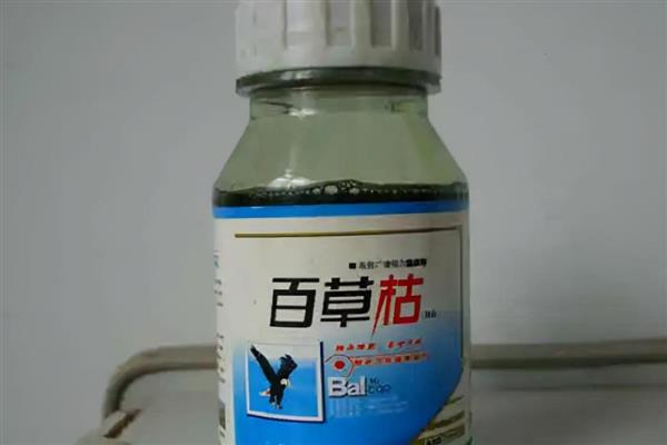 旱稻可以用什么除草剂，丁草胺、二甲戊灵、仲丁灵等药物都是适宜选择