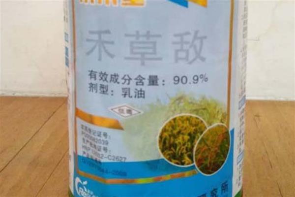 旱稻可以用什么除草剂，丁草胺、二甲戊灵、仲丁灵等药物都是适宜选择