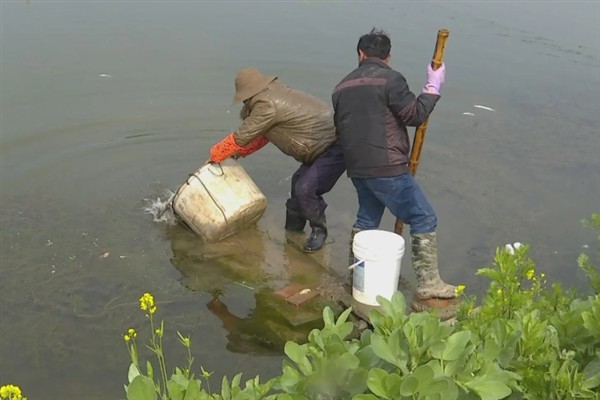 花鲢什么时候长得最快，4-6月份是生长最快的时期