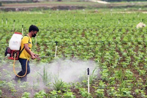 涝害会造成什么问题,会引发土壤缺氧、肥料流失等情况