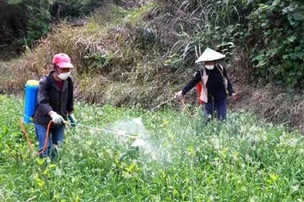 涝害会造成什么问题,会引发土壤缺氧、肥料流失等情况