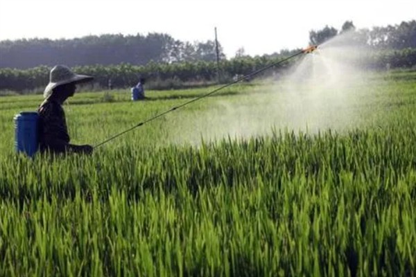 涝害会造成什么问题,会引发土壤缺氧、肥料流失等情况