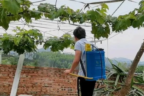 虫螨腈的防治对象，可防除鳞翅目、同翅目等科目中的害虫
