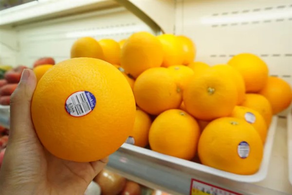 南非橙的产地,原产地是南非