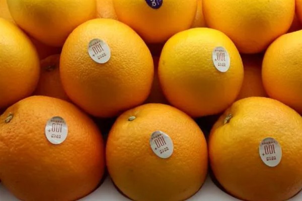 南非橙的产地,原产地是南非