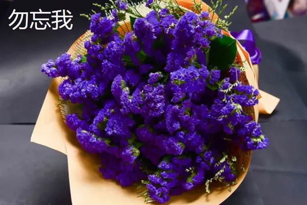 送花的朵数有什么意思，单位数具有一心一意等含义