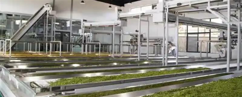 茶叶加工机械的保养和维修方法，杀青机的链条松动后可以去掉几节