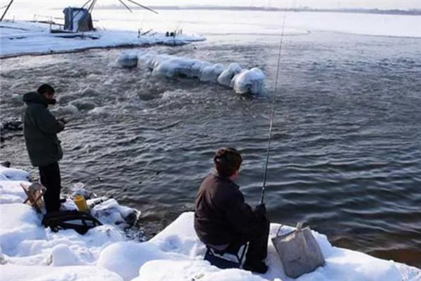气温15度左右垂钓鲤鱼的深度,保持在2-3米比较合适