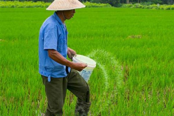 磷肥施用过量的后果，会造成土壤理化性质恶化