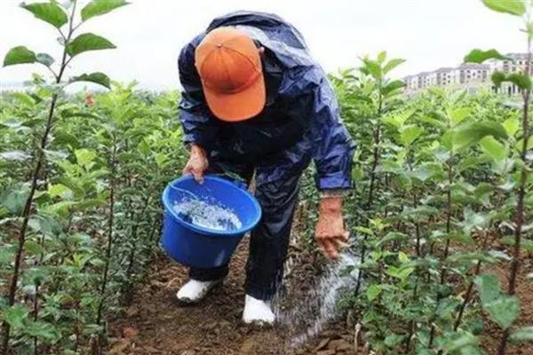 磷肥施用过量的后果，会造成土壤理化性质恶化
