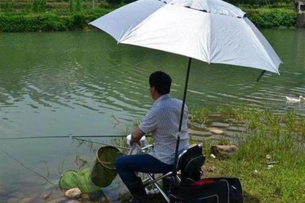 夏天钓鱼多深的水合适，钓1-4米深的水比较合适