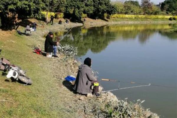 夏天钓鱼多深的水合适，钓1-4米深的水比较合适