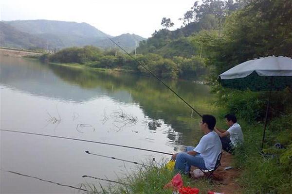 夏天钓鱼多深的水合适，钓1-4米深的水比较合适