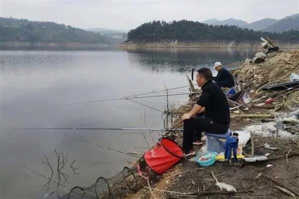 夏天钓鱼多深的水合适，钓1-4米深的水比较合适