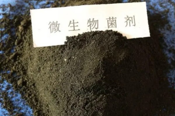 菌剂和菌肥哪种更好，菌剂使用起来简单