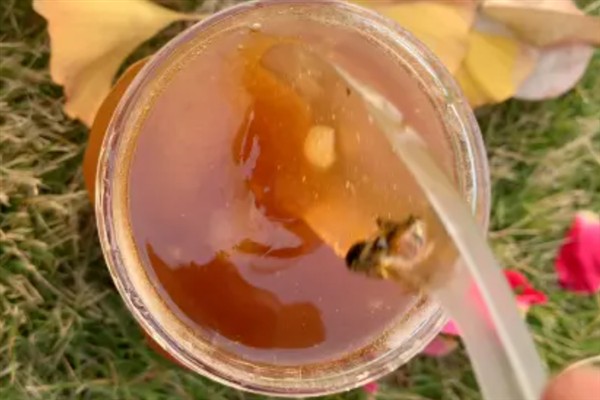 真正的葵花蜜呈哪种颜色，一般为浅琥珀色或金黄色