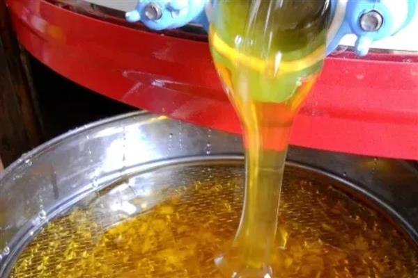 1斤芝麻可以出多少油，大约能出4两左右的油