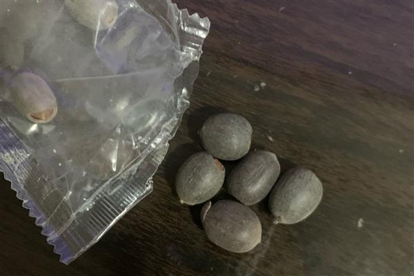荷花的种植方法，适合生长在较为温暖的环境中