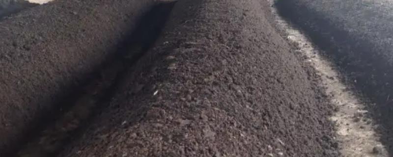 怎么制作羊粪有机肥，与辅料混匀后再堆放发酵