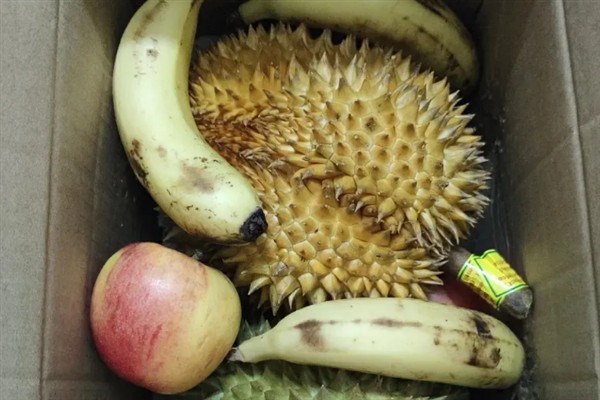 榴莲的催熟方法，与成熟的香蕉等水果放在纸箱中能起到催熟效果