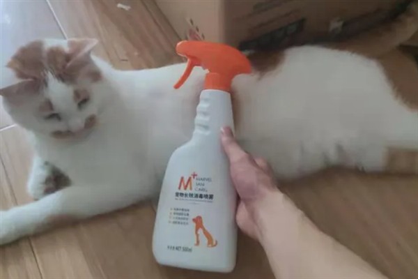 只晒太阳能不能治疗猫癣，除了晒太阳外还应该补充营养