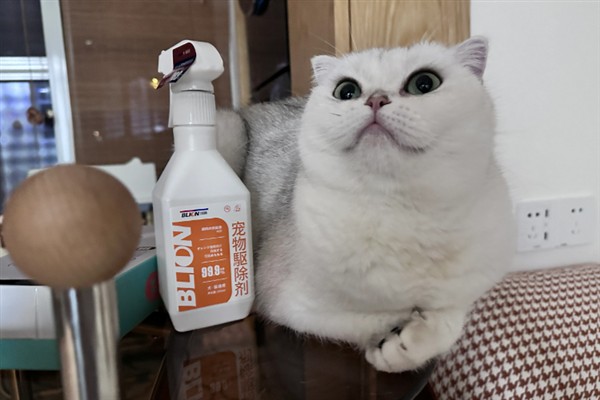 只晒太阳能不能治疗猫癣，除了晒太阳外还应该补充营养