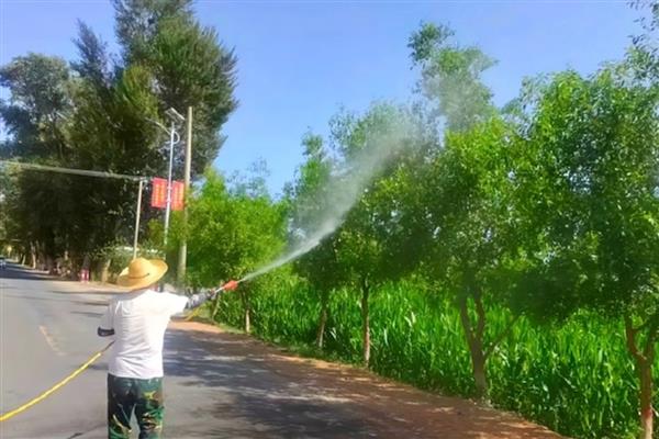 防治冬枣病虫害的方法，萌芽前喷施石硫合剂可减少初侵染来源