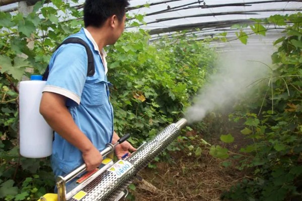 芹菜早疫病的病状，主要为害叶片、叶柄和茎