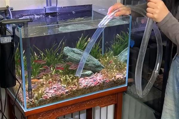 冬天鱼缸换水加热方法，将热水兑入冷水中待温度适宜时再注入缸内