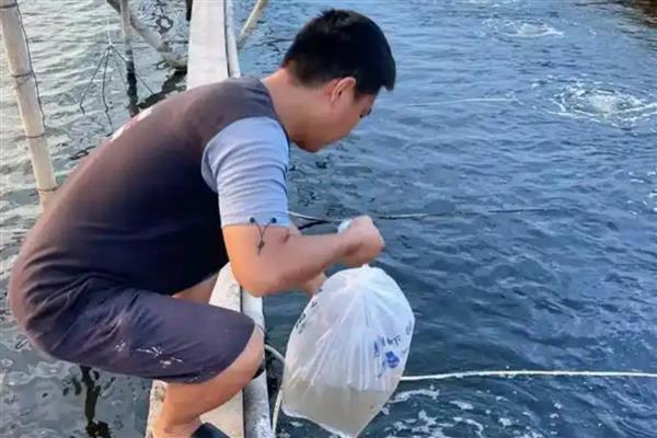 用淡水养对虾的方法，放苗前要向池中添加生盐